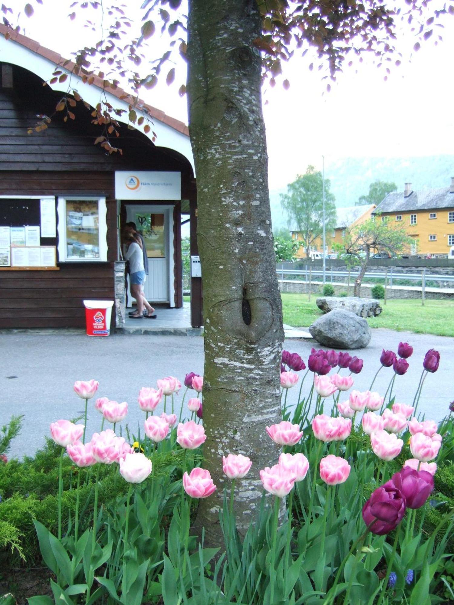 Flam Camping & Cabins Εξωτερικό φωτογραφία